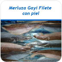 Merluza Gayi filete con piel congelado