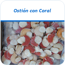 Osti�n con coral congelado