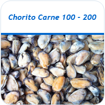 Chorito carne 100-200 congelado