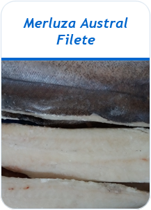 Merluza Austral Filete